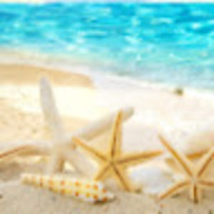 Meet your Posher, Jana